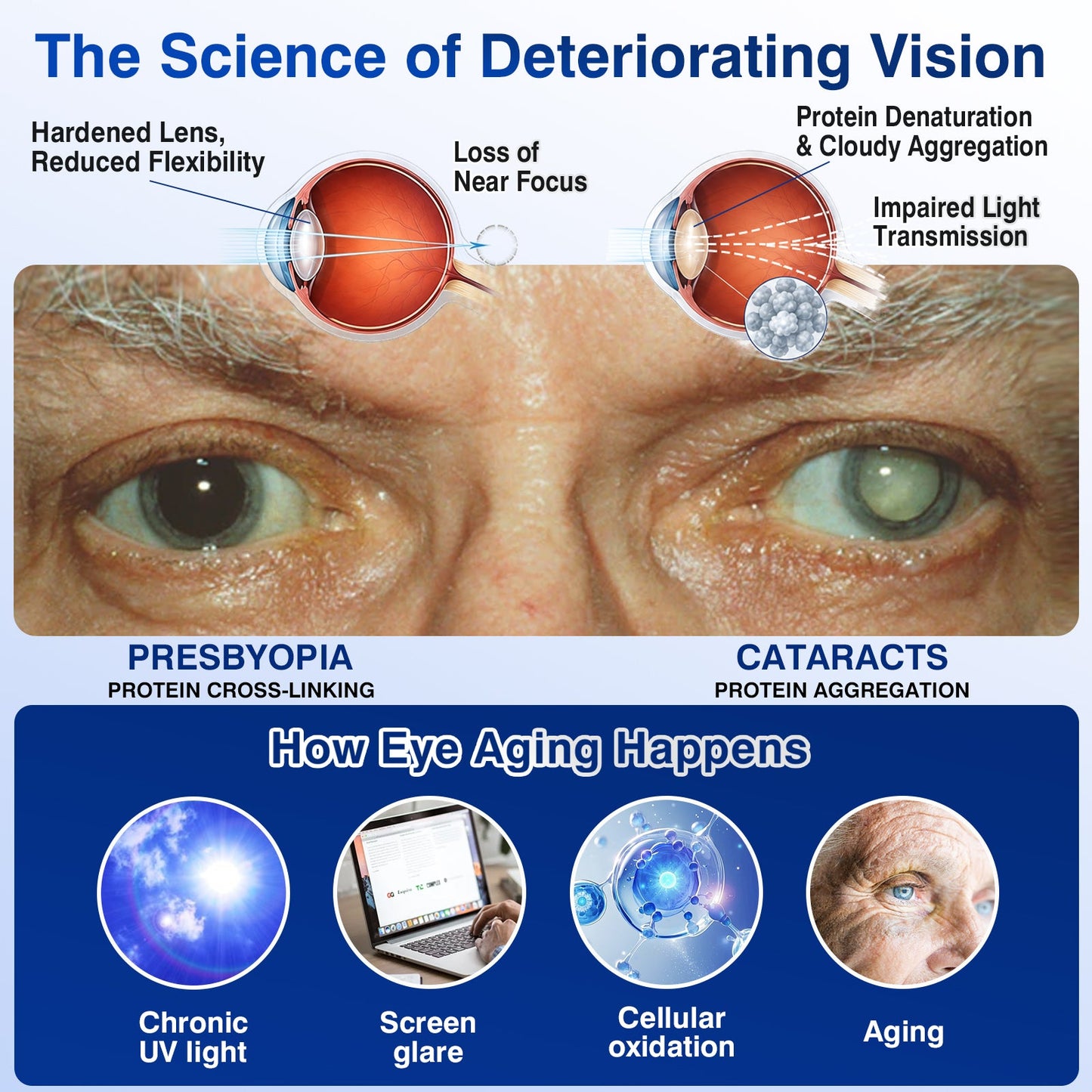 🇺🇸👨‍⚕️✅DR.Fachmer® LensVital Crystalline Degeneration Repair NanoDrops