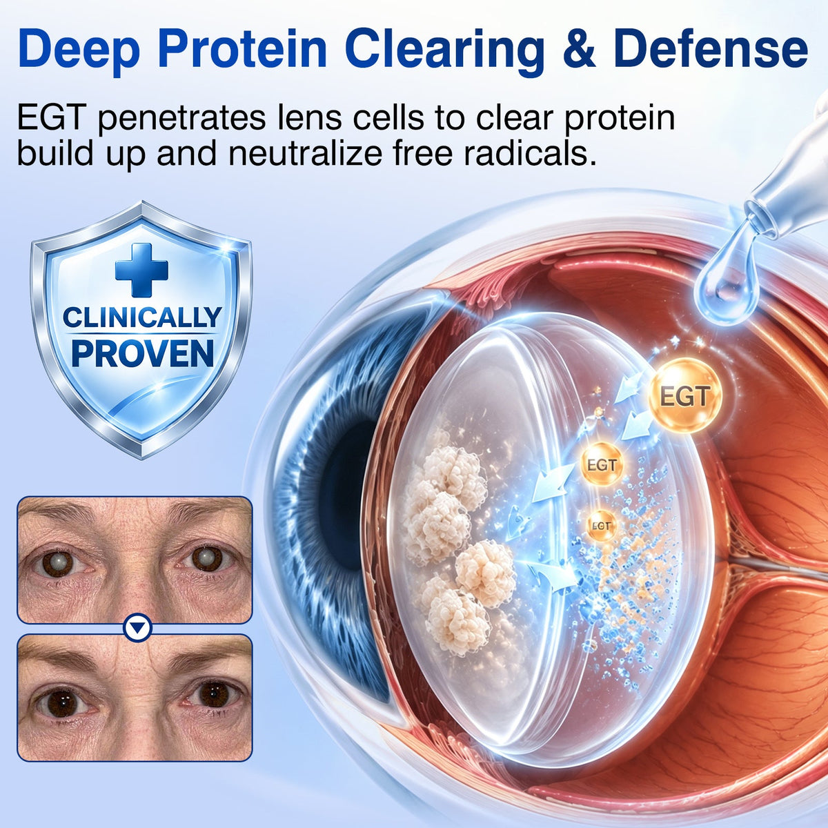 🇺🇸👨‍⚕️✅DR.Fachmer® LensVital Crystalline Degeneration Repair NanoDrops